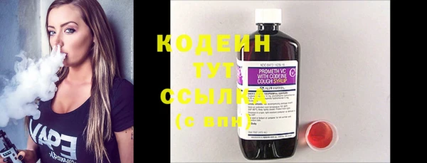 молекула духа Осинники