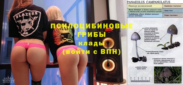 меф Арсеньев